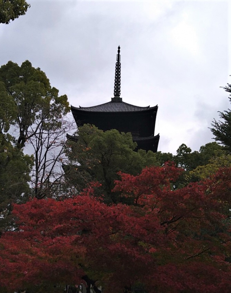 20221121⑨