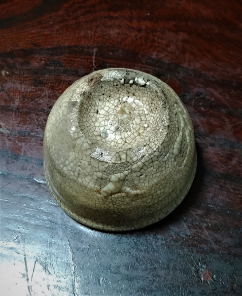20230129②