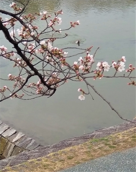 20230321⑯