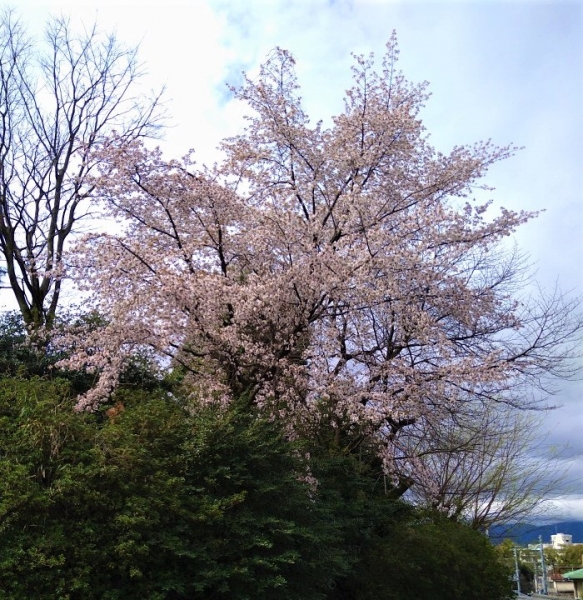 20230324②