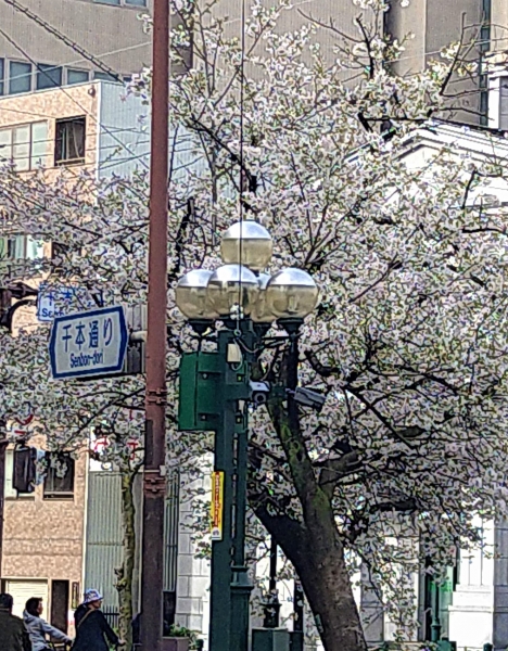 20230325⑫