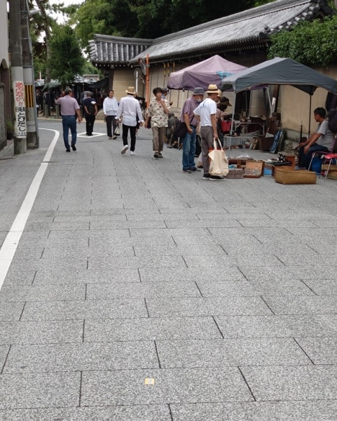 20230725④