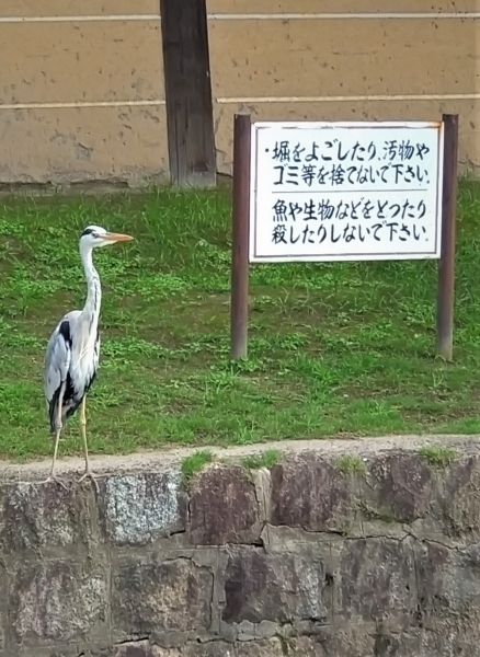 20230801④