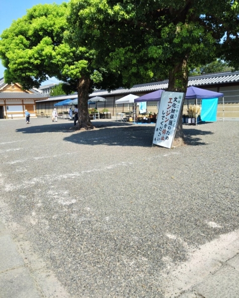 20230821②