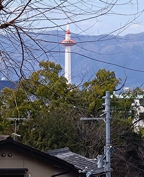 20240329 7