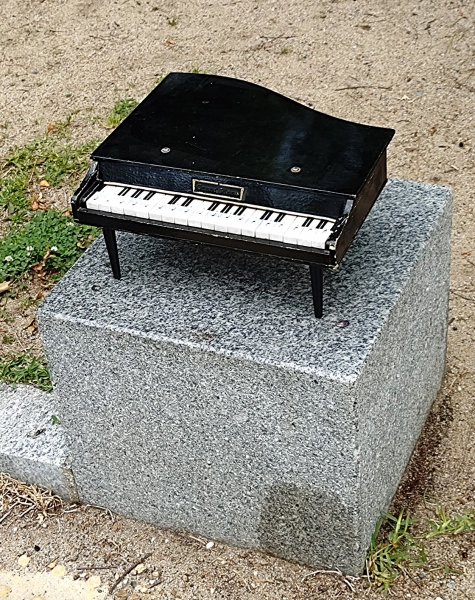 20250527 18