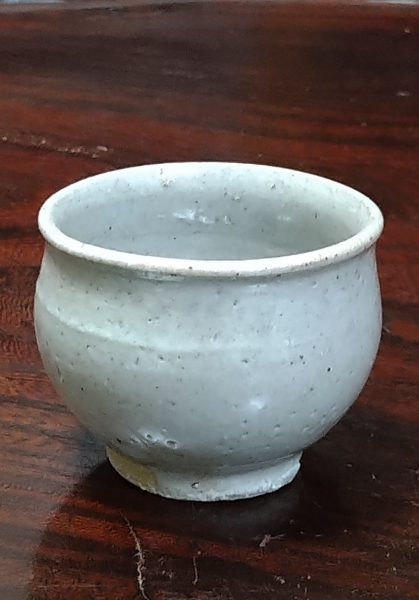 DSC 4100 2