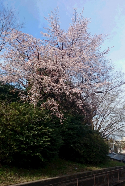 DSC 5242 2