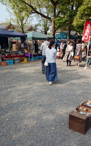 DSC 5372 2