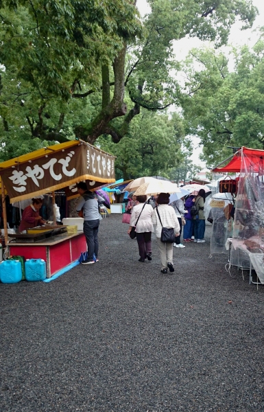 DSC 7197 2