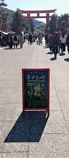DSC 8023 3