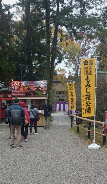 DSC 8175 2