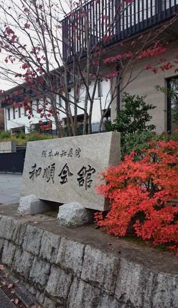 DSC 8208 2