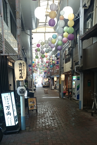 DSC 8489 2