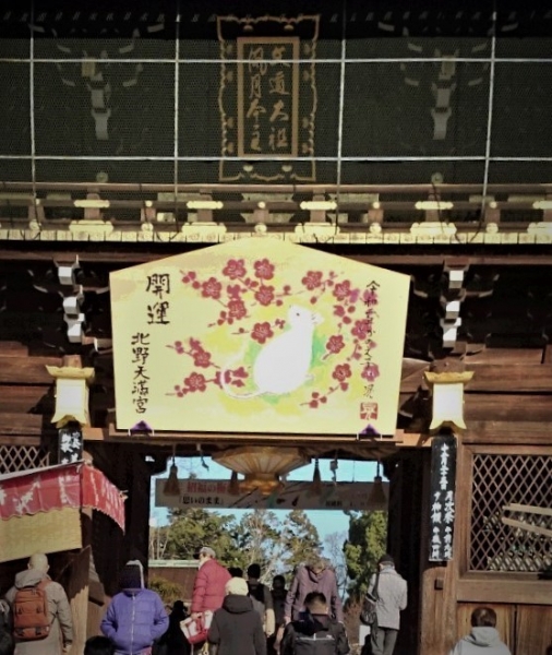 DSC 8643 5