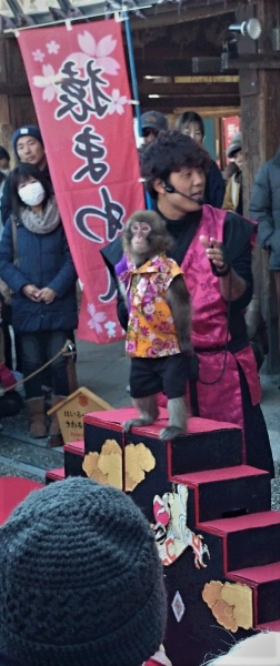 DSC 8646 2