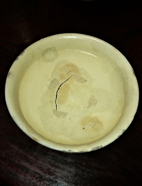 DSC 9559 3