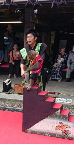 IMG 20190725 125048 2
